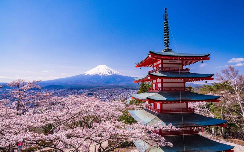 Chureito Pagoda & Mt. Fuji(Spring)
