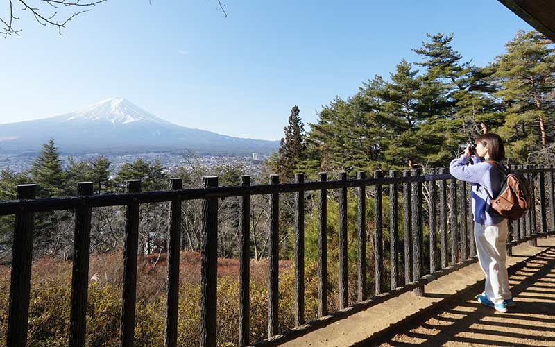 Fuji panoramic platform