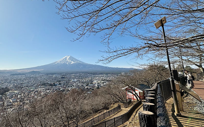 Mt. Fuji from the route